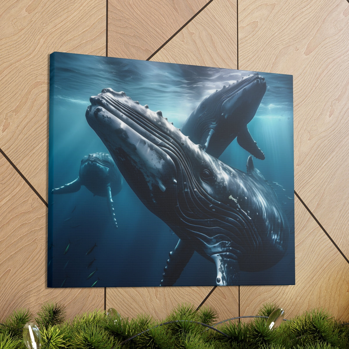 Humpback Whale | Kohola | Hawaii | Action | Closeup | Canvas Gallery Wraps