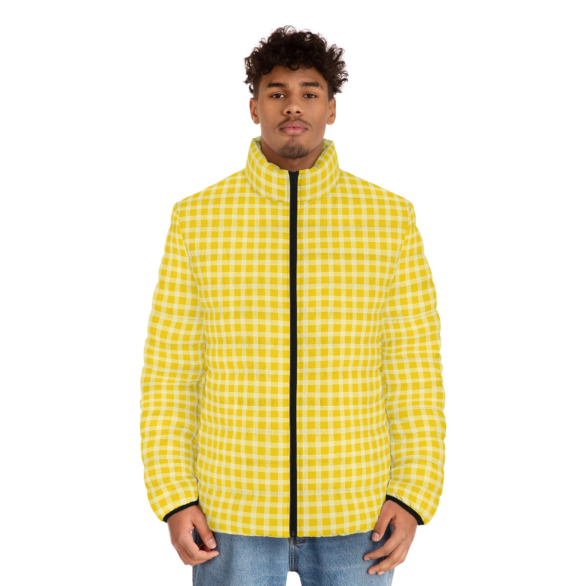 Hawaiian Plaid | Palaka | Country Style | Men's Puffer Jacket (AOP)