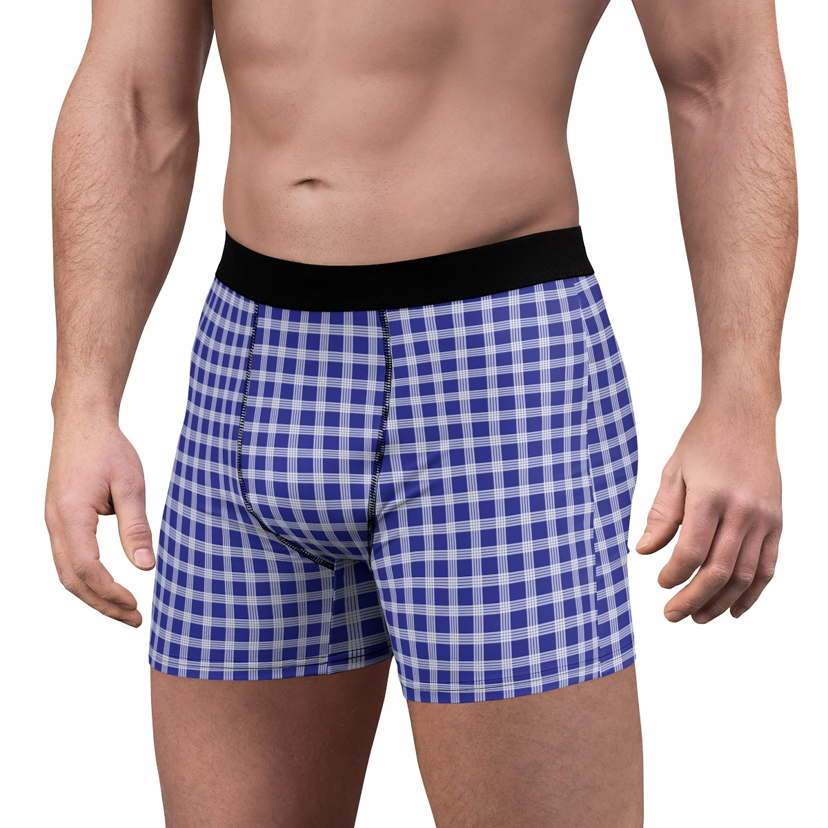 Hawaiian Plaid | Palaka | Country Style | Men's Boxer Briefs (AOP)